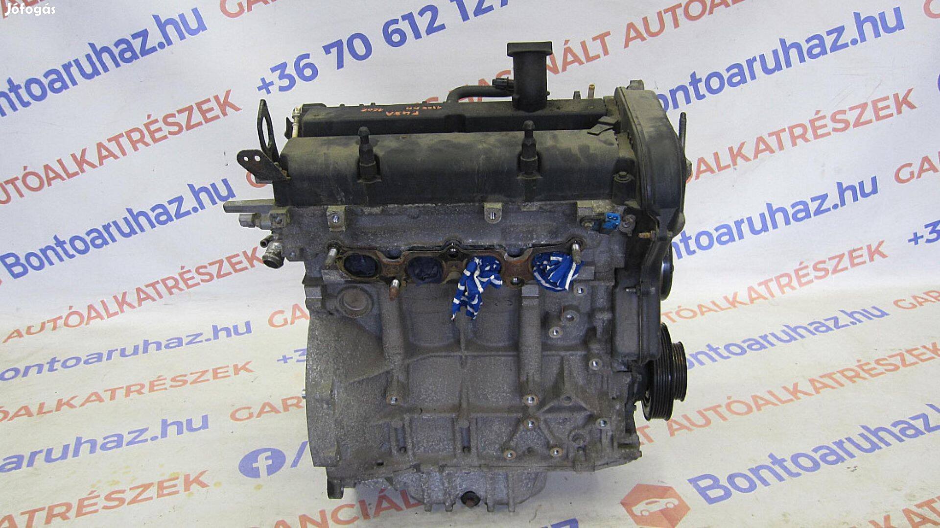 Ford Fiesta MK6 1,25 benzines fűzött blokk hengerfejjel Kód: Fuja