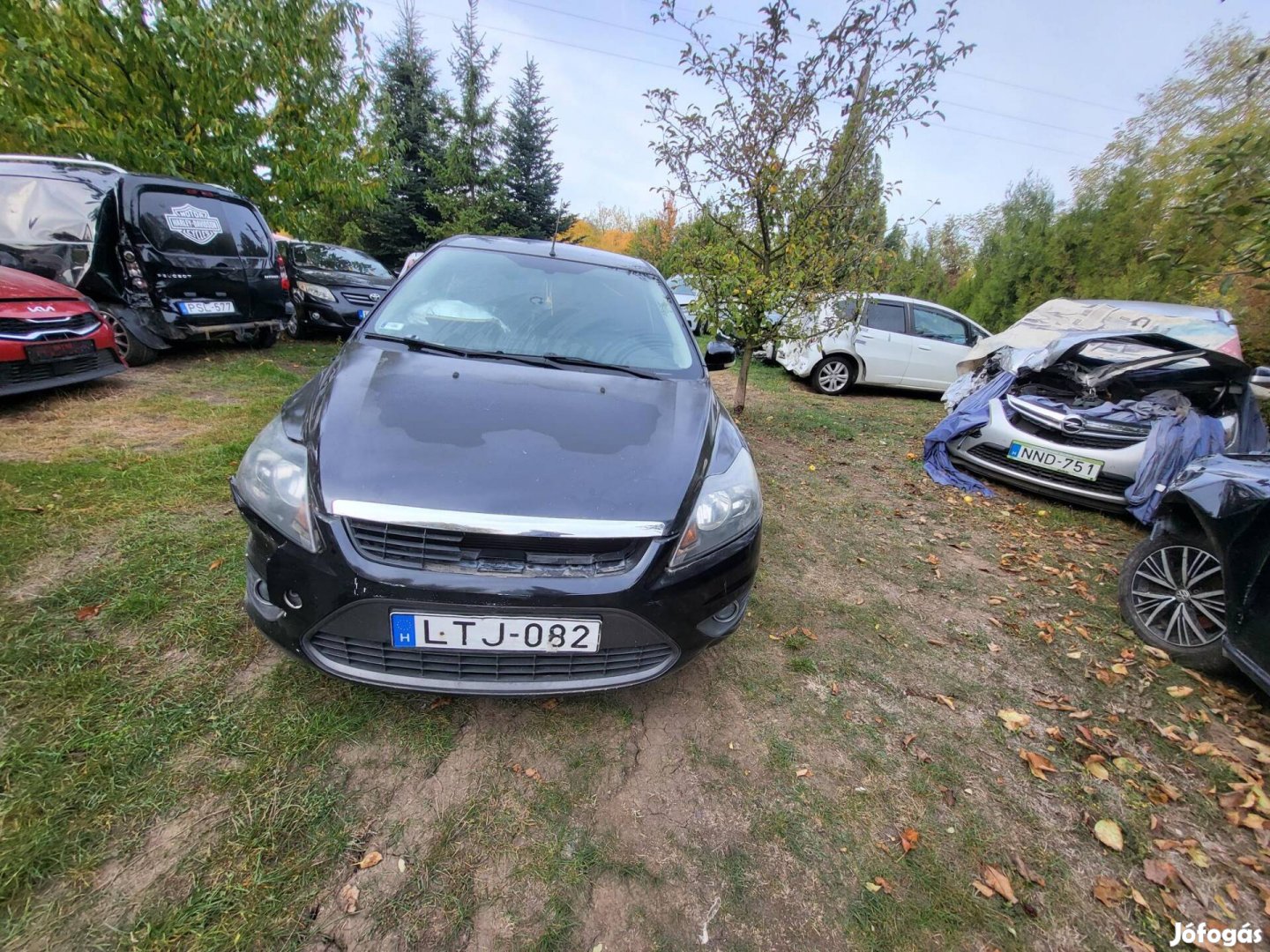 Ford Focus 1.6 TDCi Ambiente Indul!