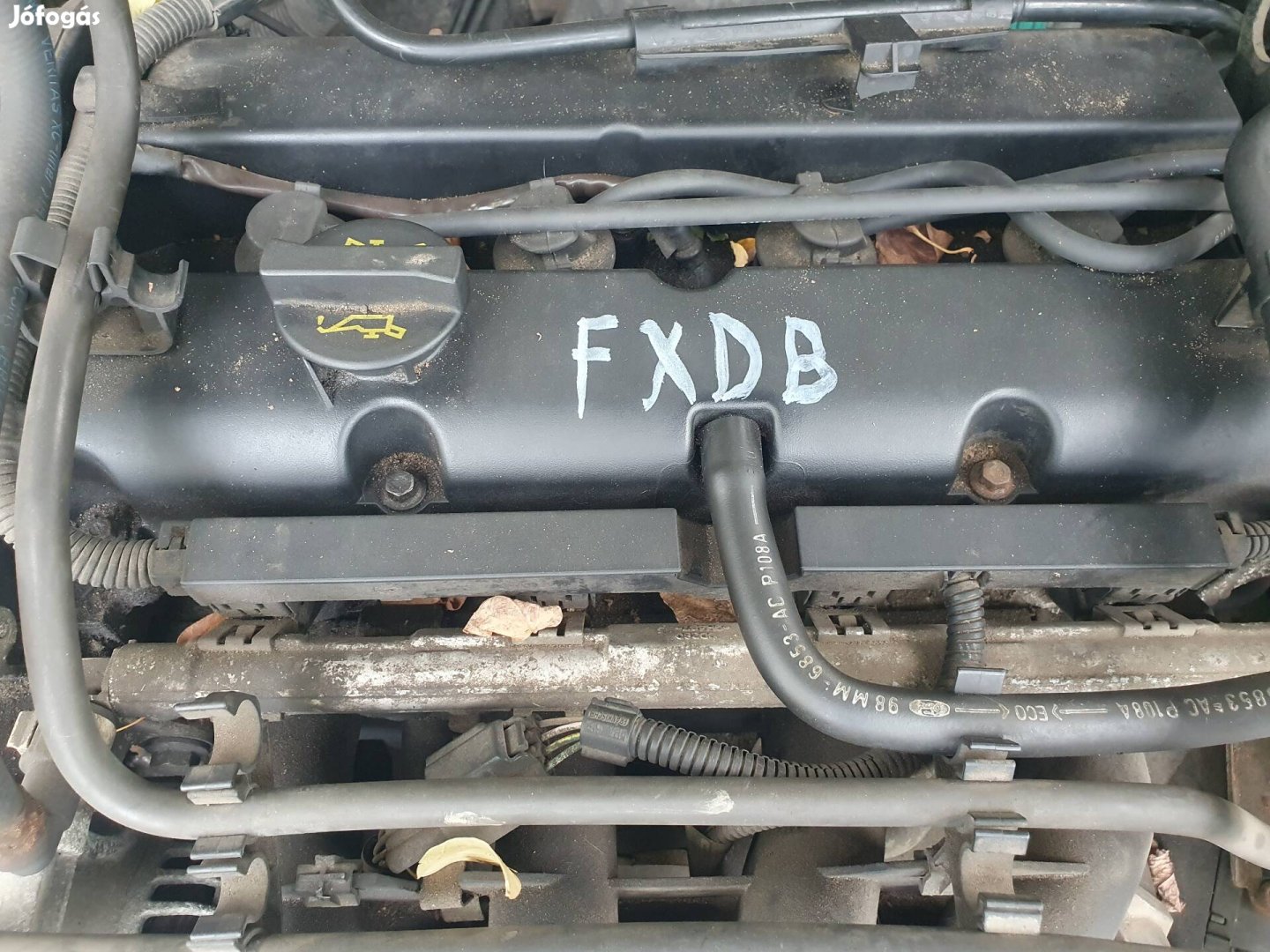 Ford Focus I-es 1.4 16v motor Fxdb.