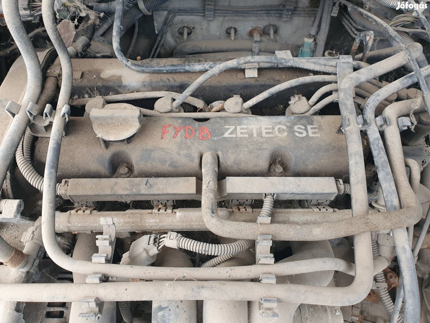 Ford Focus I-es 1.6 16v motor Fydb.