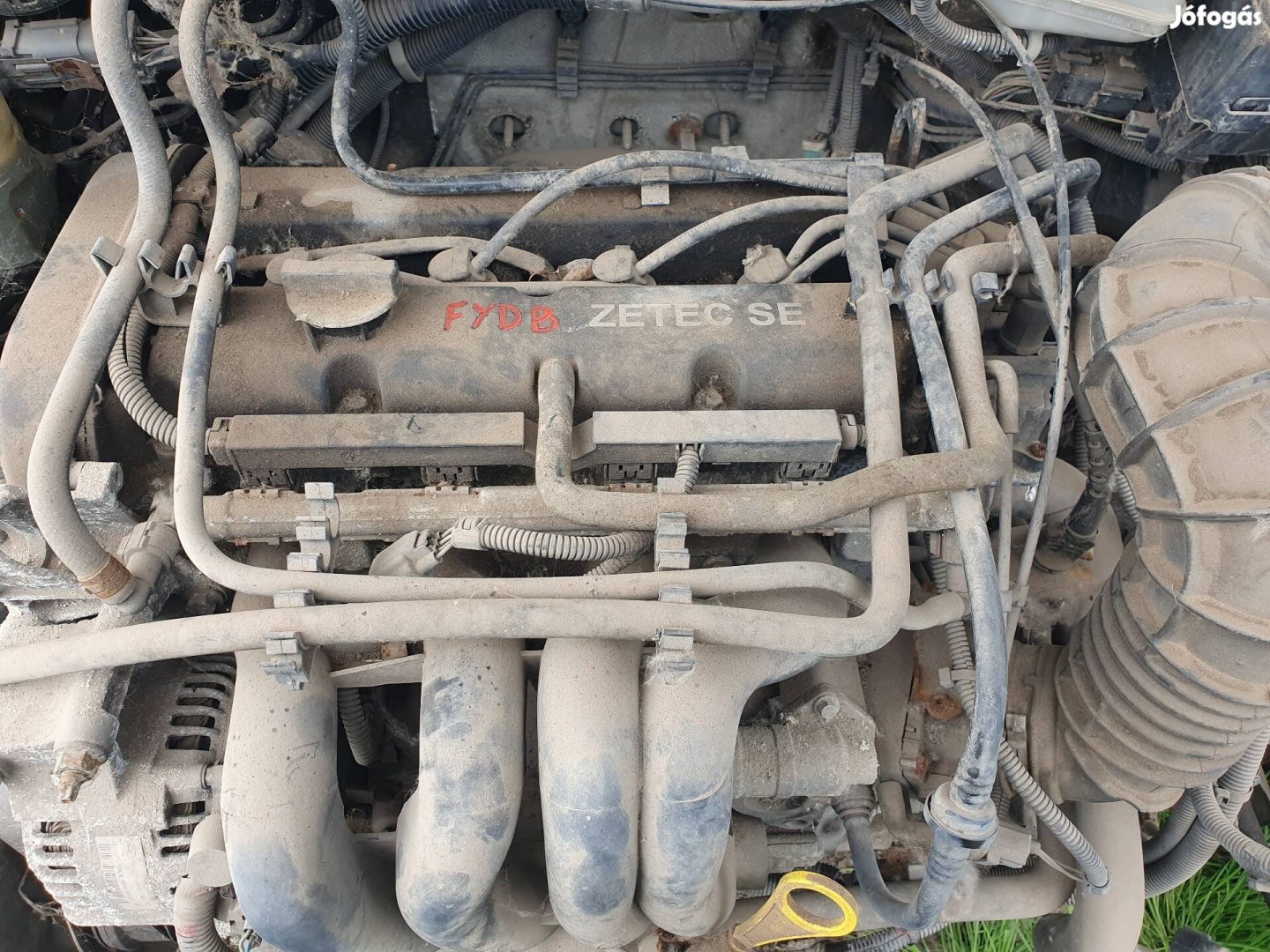 Ford Focus I-es 1.6 16v motor Fydb.
