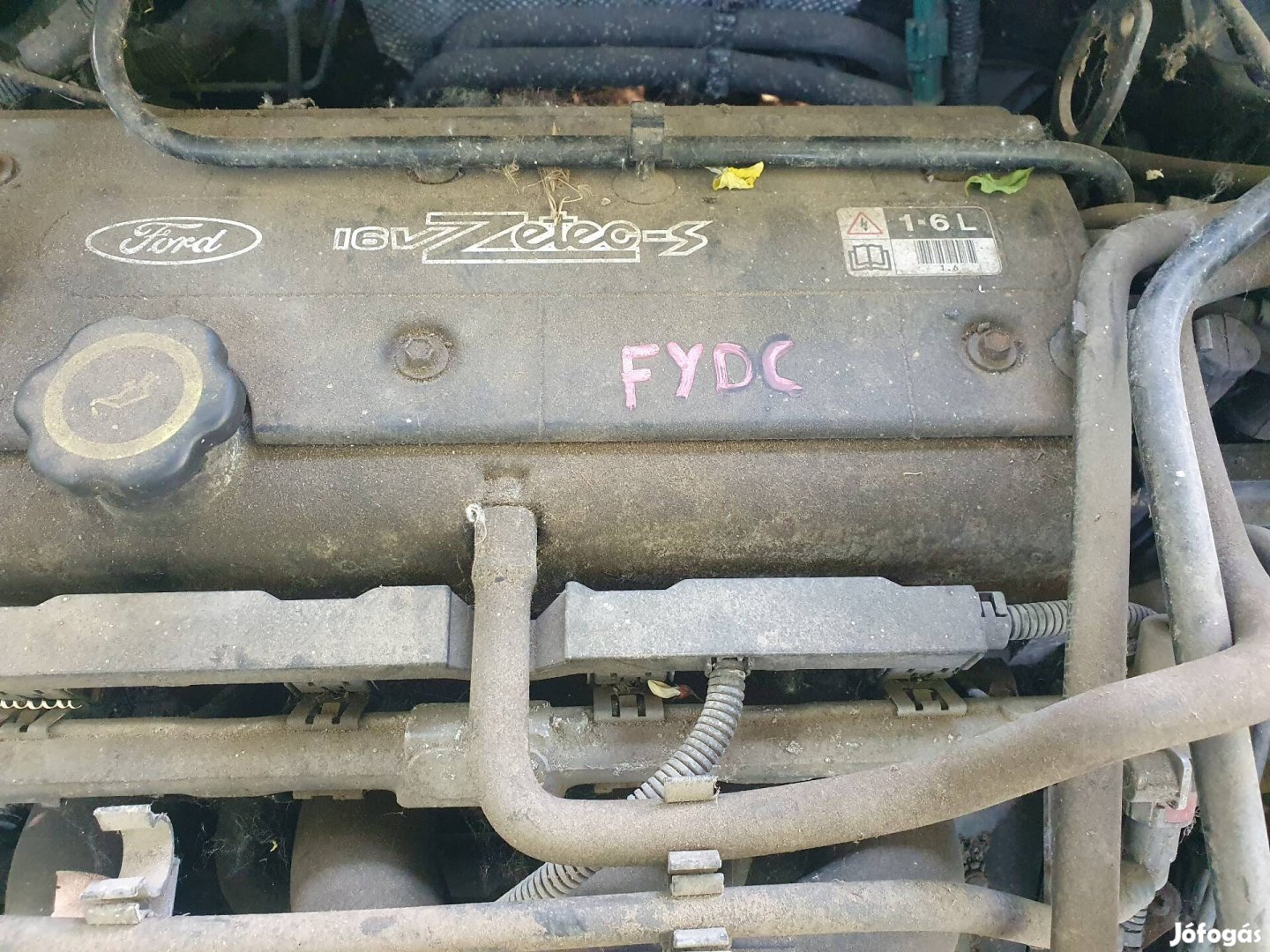 Ford Focus I-es 1.6 16v motor Fydc.