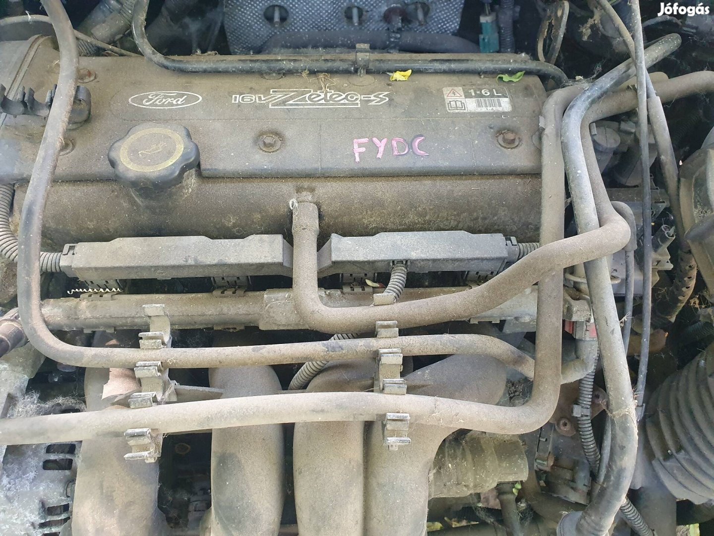 Ford Focus I-es 1.6 16v motor Fydc.