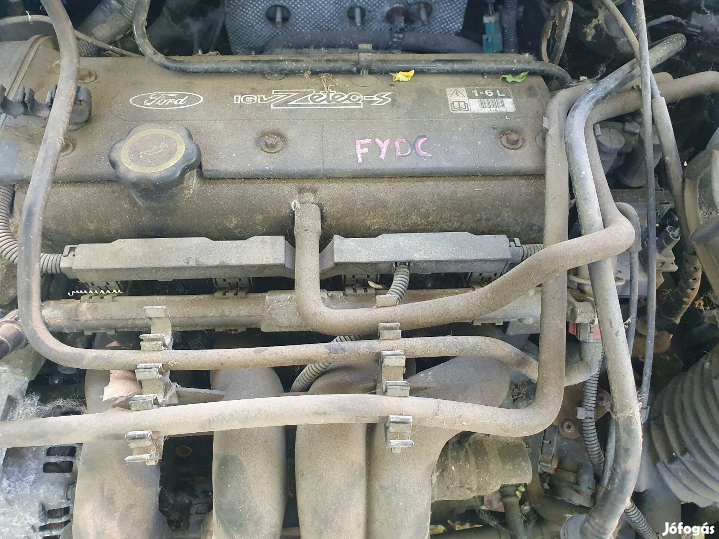 Ford Focus I-es 1.6 16v motor Fydc..