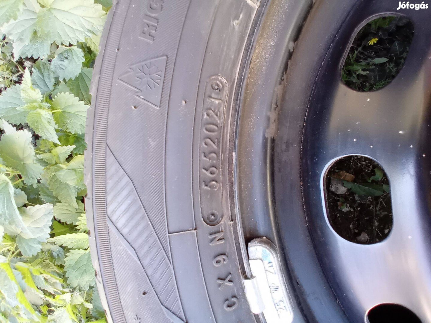 Ford Focusra Toyo téli kerekek