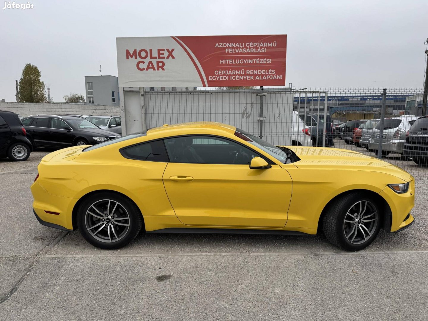 Ford Mustang Fastback 2.3 Ecoboost (Automata) K...