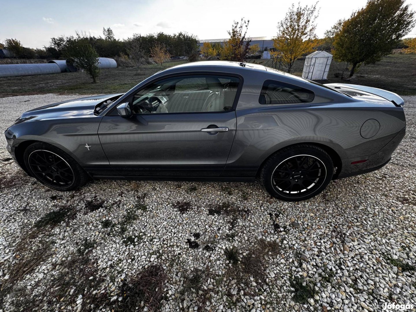 Ford Mustang Fastback 4.0 V6