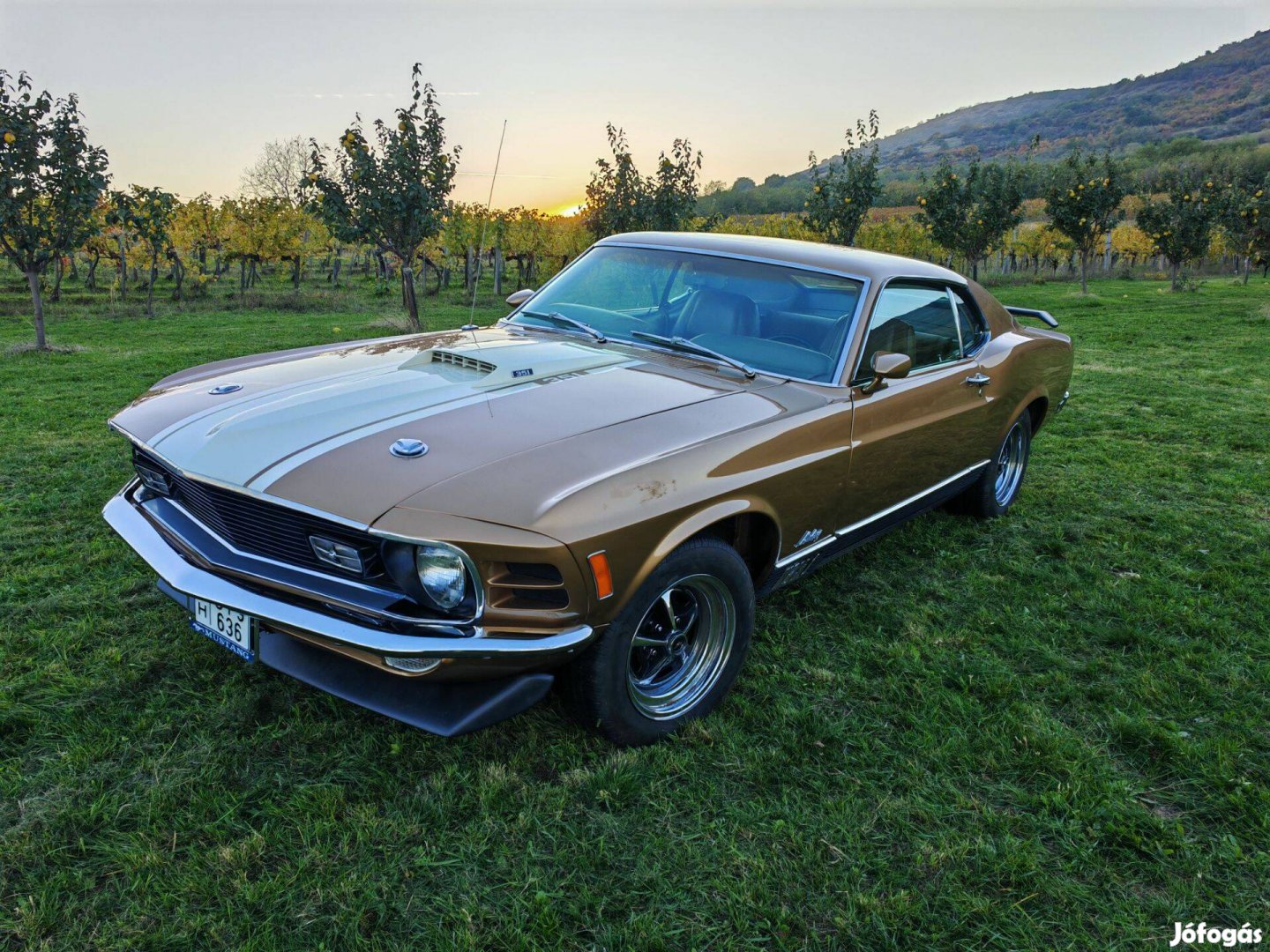 Ford Mustang Mach 1 Sportsroof