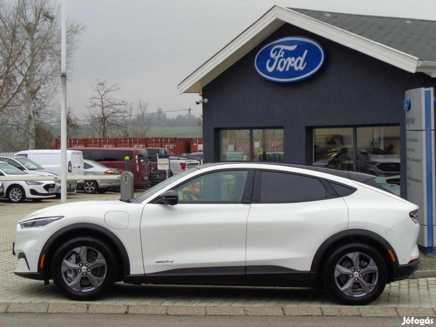 Ford Mustang Mach-E Standard range (Automata) M...