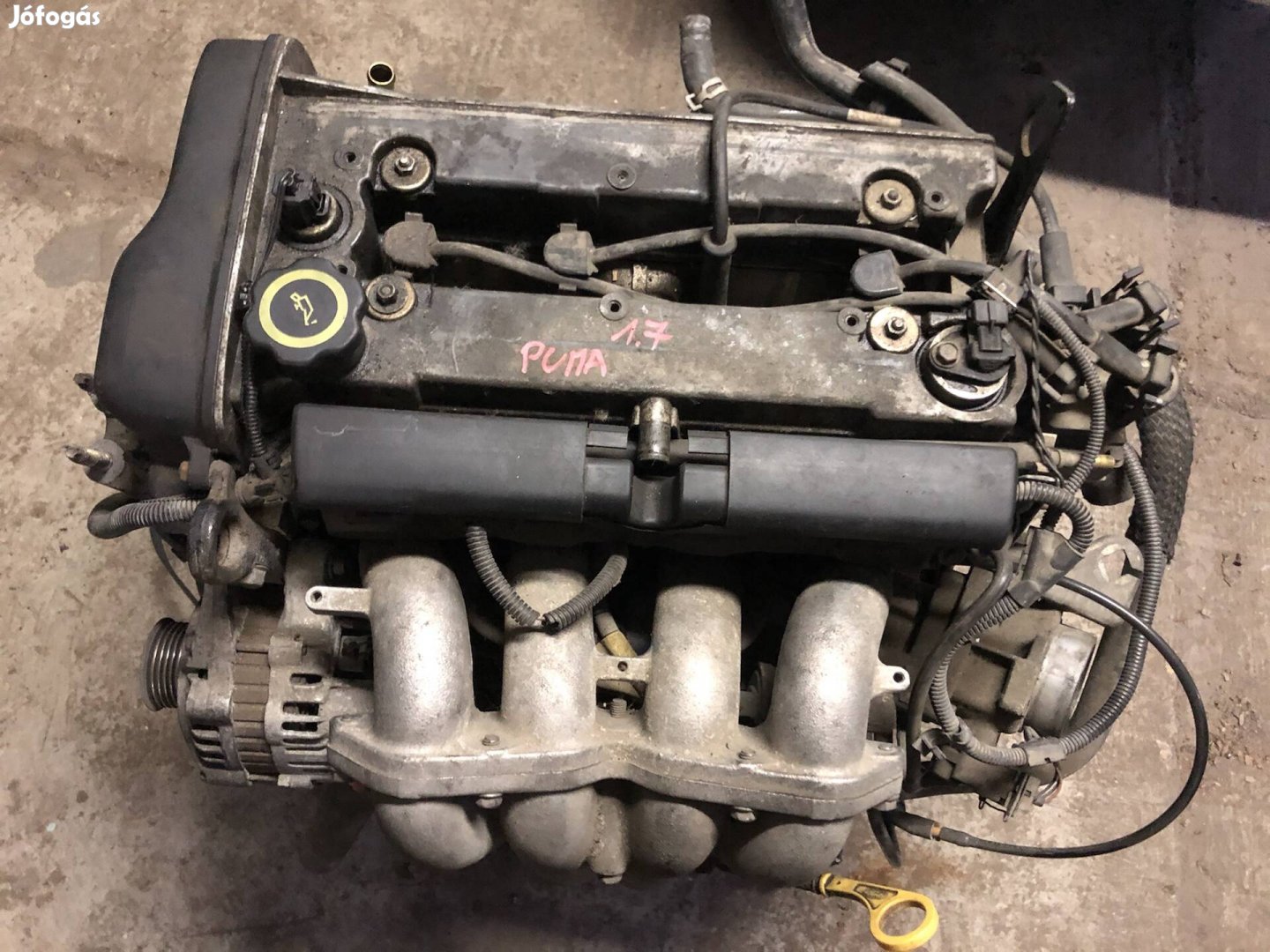 Ford Puma 1.7 motor