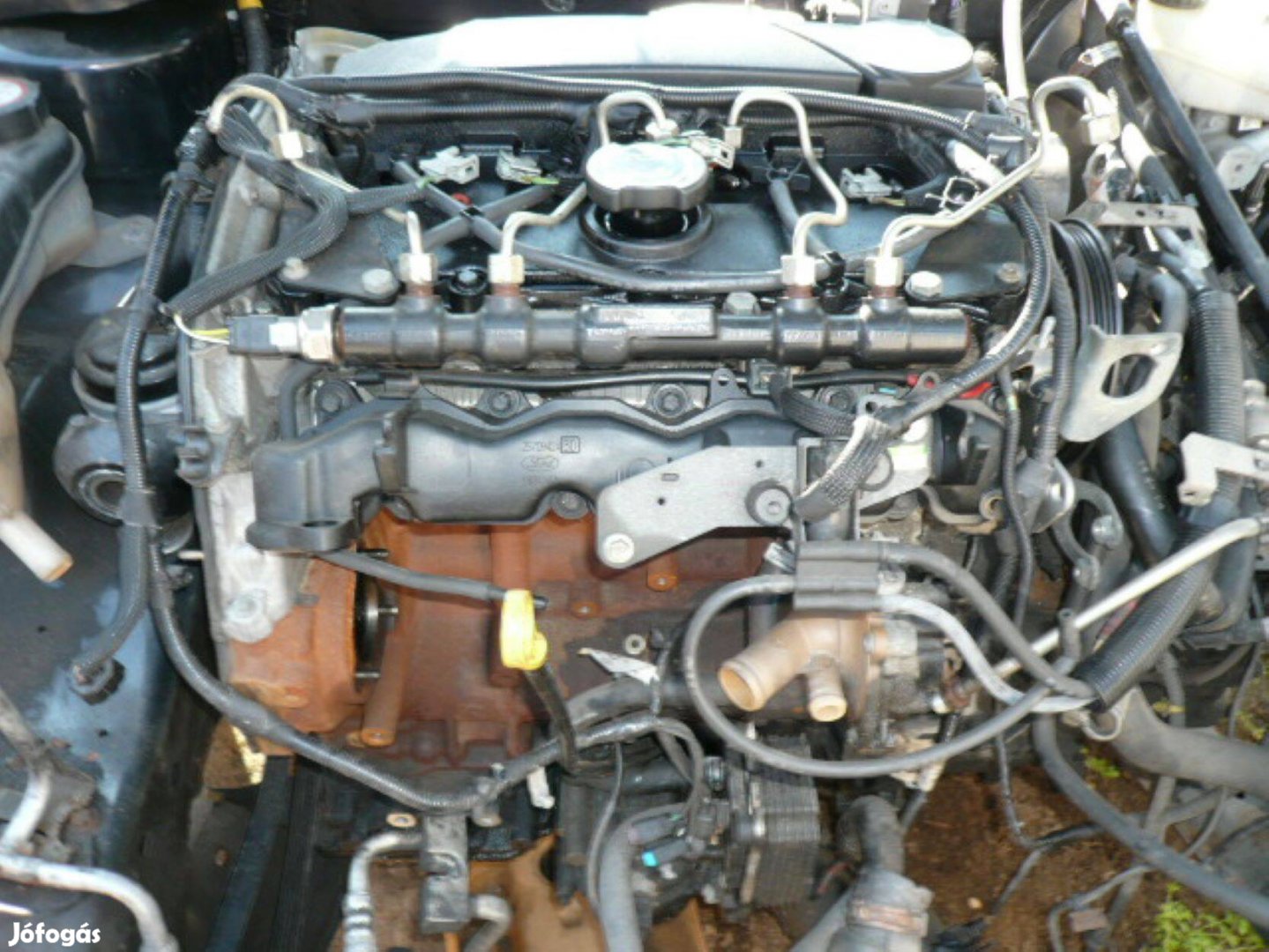 Ford mondeo mk3 2.0 TDCI 115 le motor Hjba motorkód