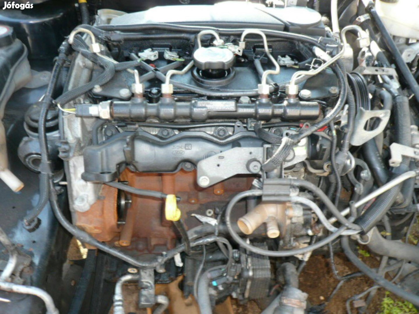 Ford mondeo mk3 2.0 TDCI 115 le motor Hjba motorkód