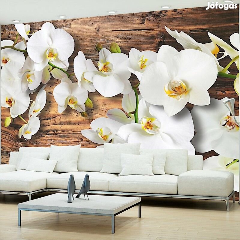 Fotótapéta - A fával összhangban