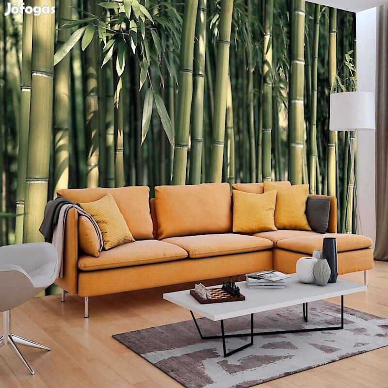 Fotótapéta - A lemenő Nap erdeje 2