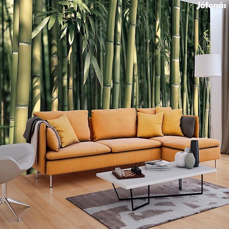 Fotótapéta - A lemenő Nap erdeje 2