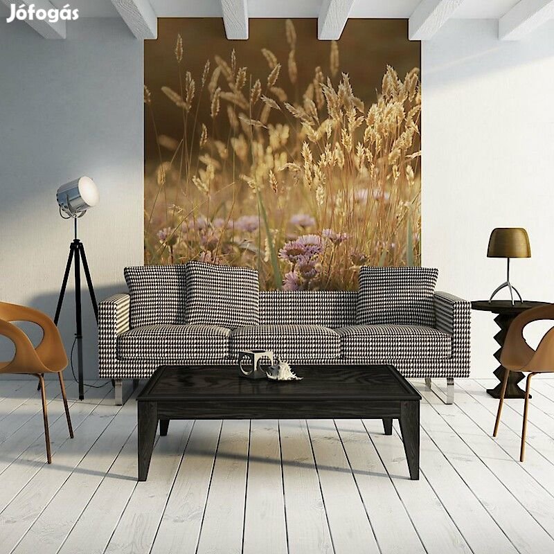 Fotótapéta - Aranykalász