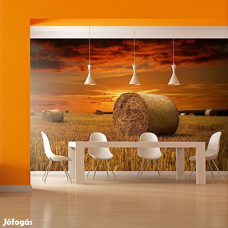 Fotótapéta - Aranyló táj