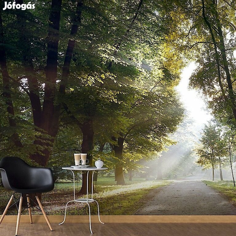 Fotótapéta - Átszűrődő napfény 2