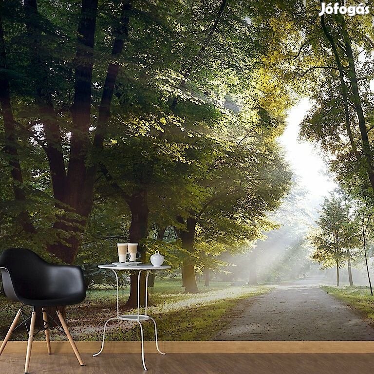 Fotótapéta - Átszűrődő napfény 2