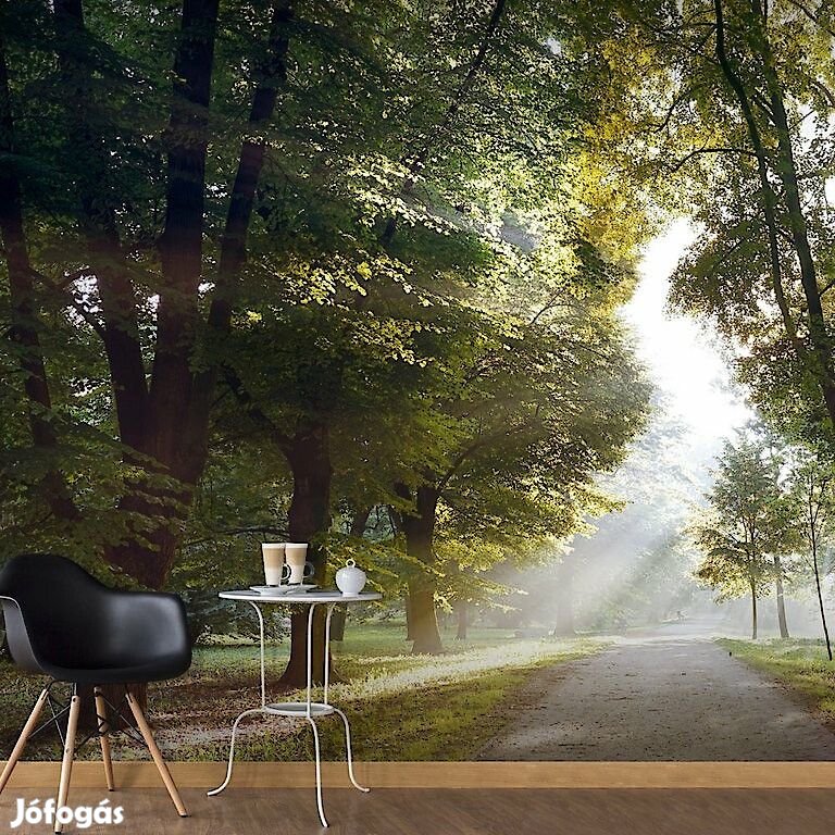Fotótapéta - Átszűrődő napfény 2