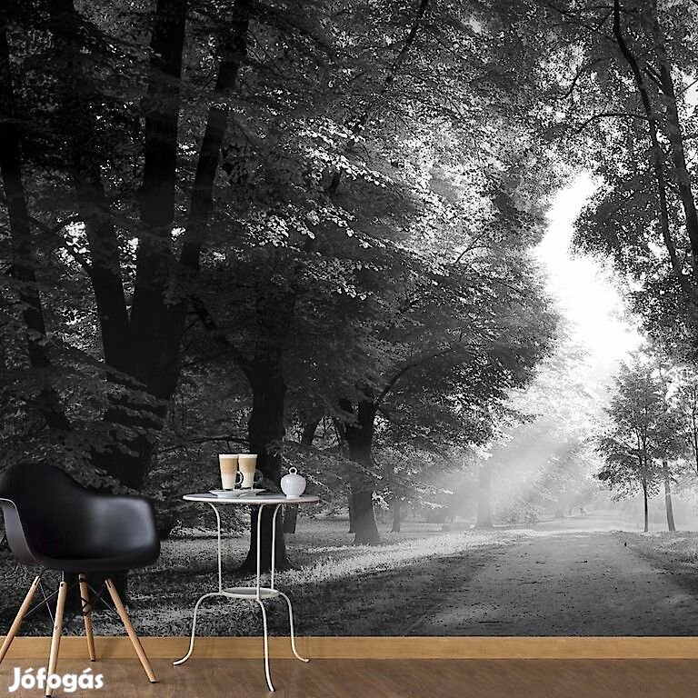 Fotótapéta - Átszűrődő napfény 3