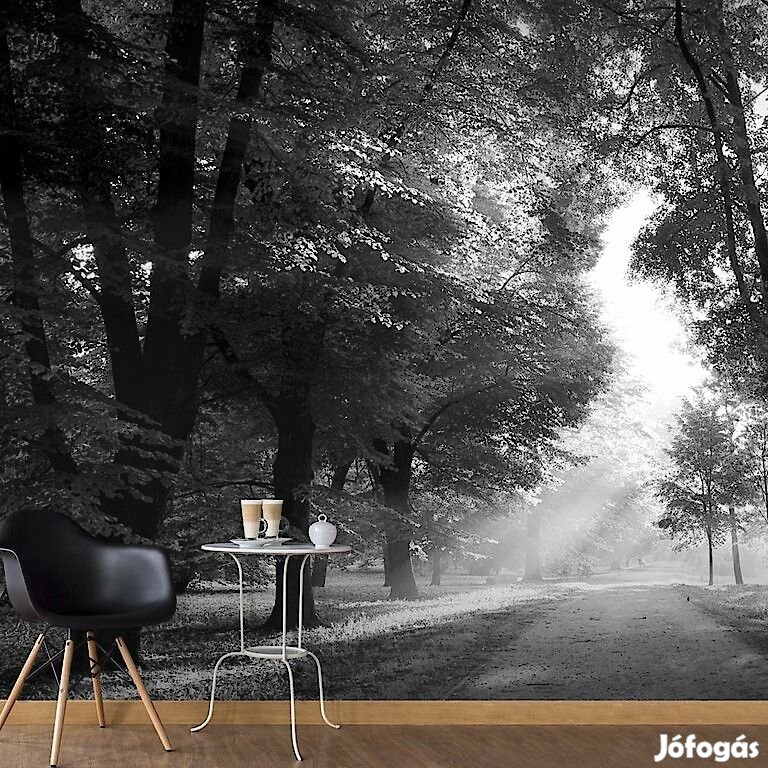 Fotótapéta - Átszűrődő napfény 3