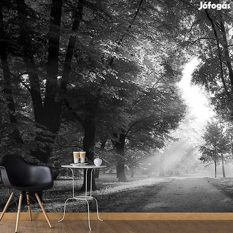 Fotótapéta - Átszűrődő napfény 3