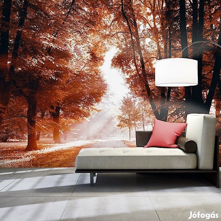 Fotótapéta - Átszűrődő napfény