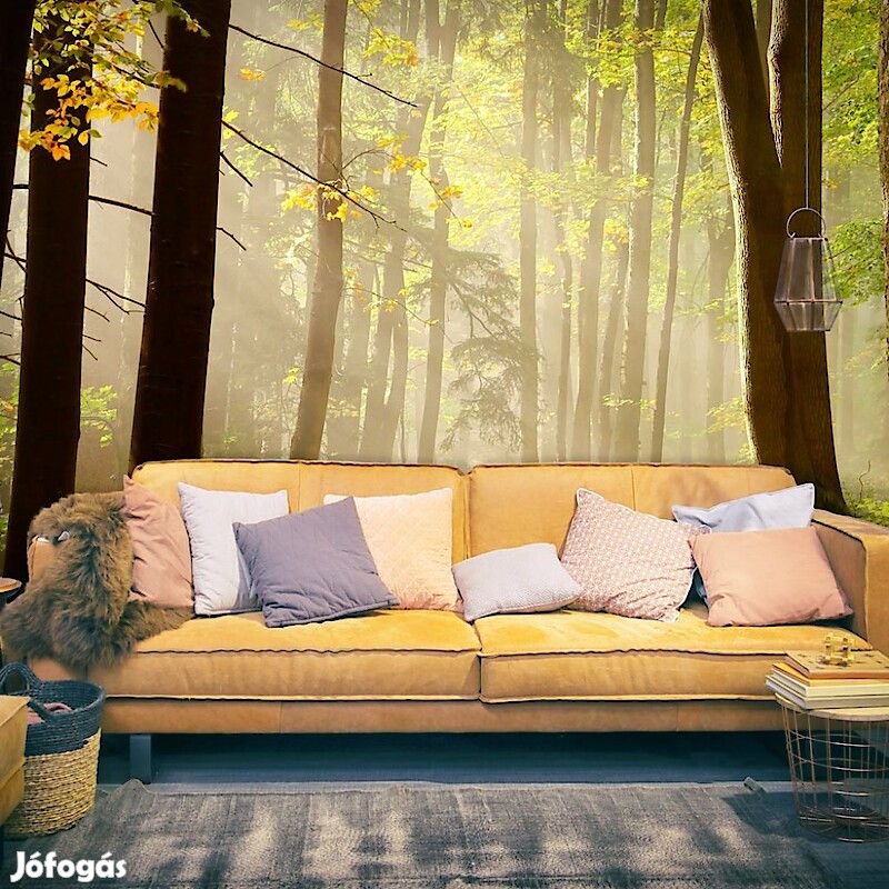 Fotótapéta - Az erdő tavasszal