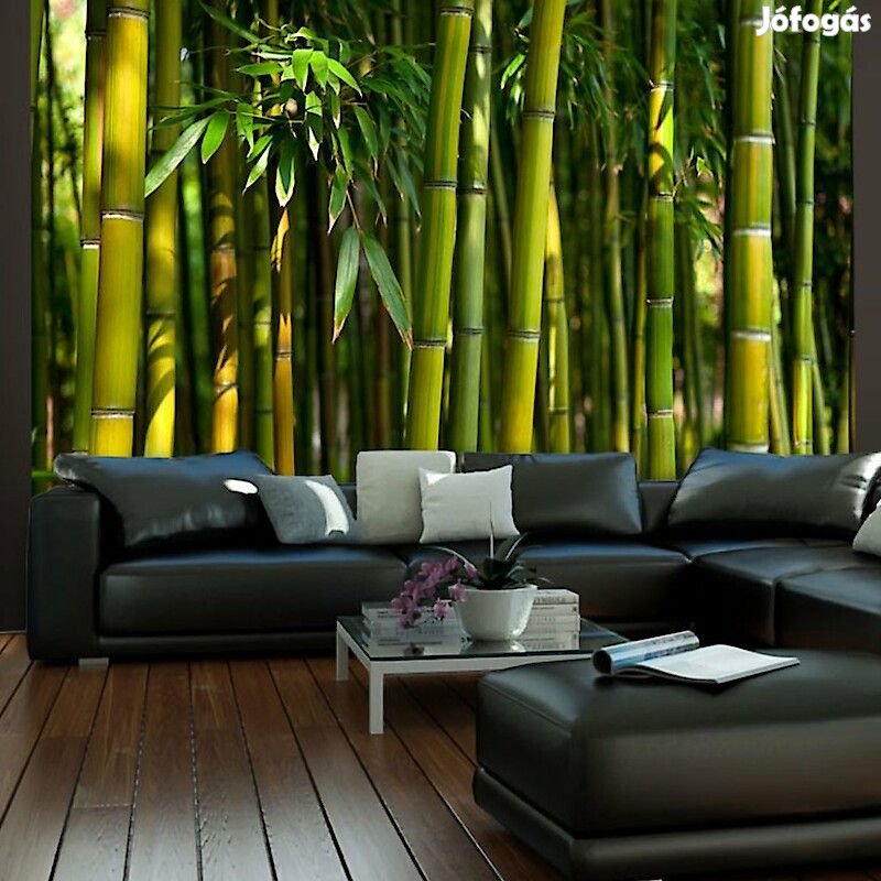 Fotótapéta - Ázsiai bambusz erdő
