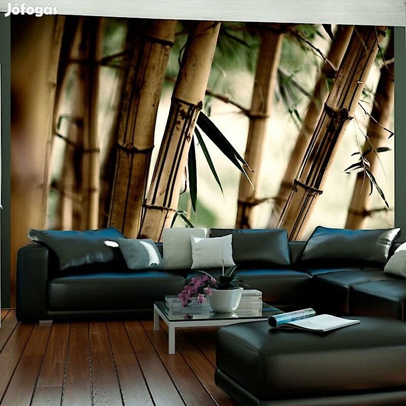 Fotótapéta - Bambuszerdő ködben