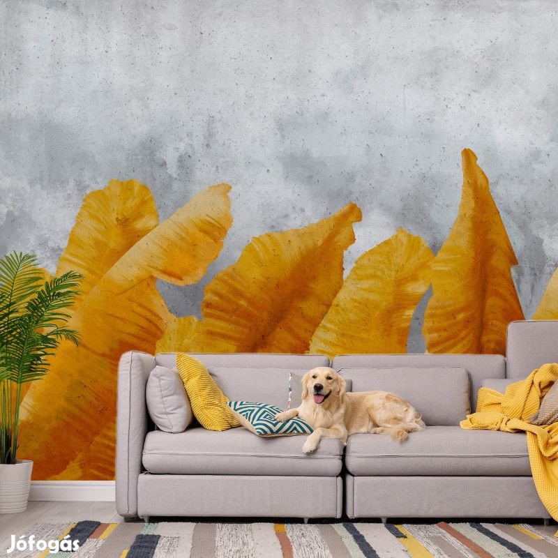 Fotótapéta - Banán levelek között