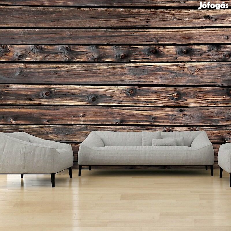 Fotótapéta - Biztonságos fészek 1