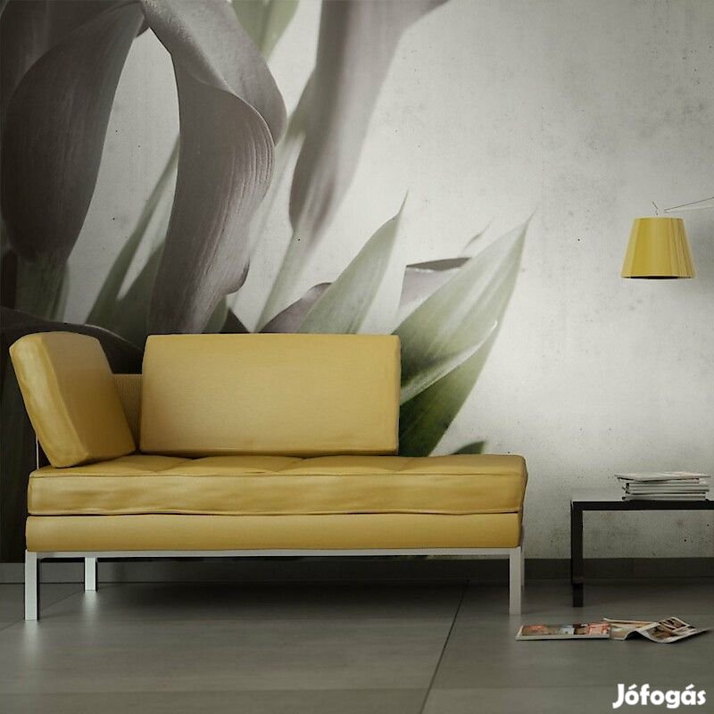 Fotótapéta - Borús hangulatban