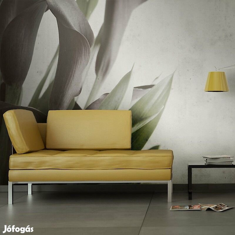 Fotótapéta - Borús hangulatban