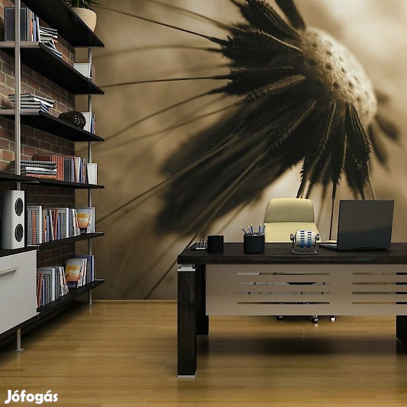 Fotótapéta - Borús világ