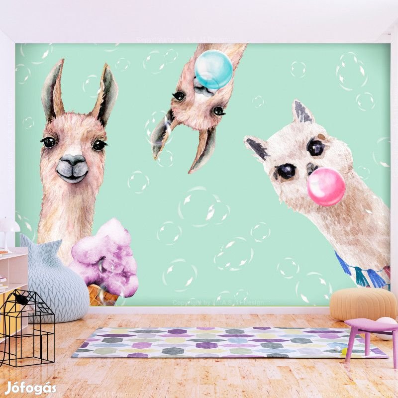 Fotótapéta - Bugyuta lámák