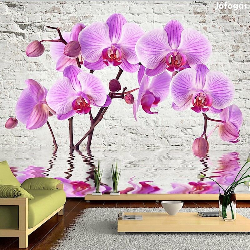 Fotótapéta - Csodálat