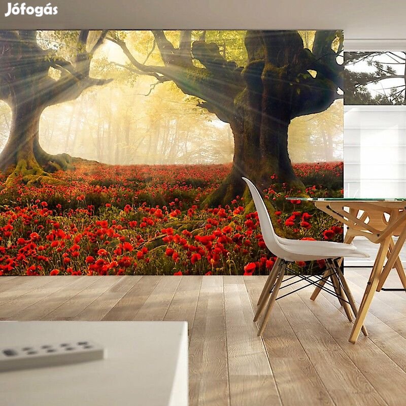 Fotótapéta - Ébredés az erdőben