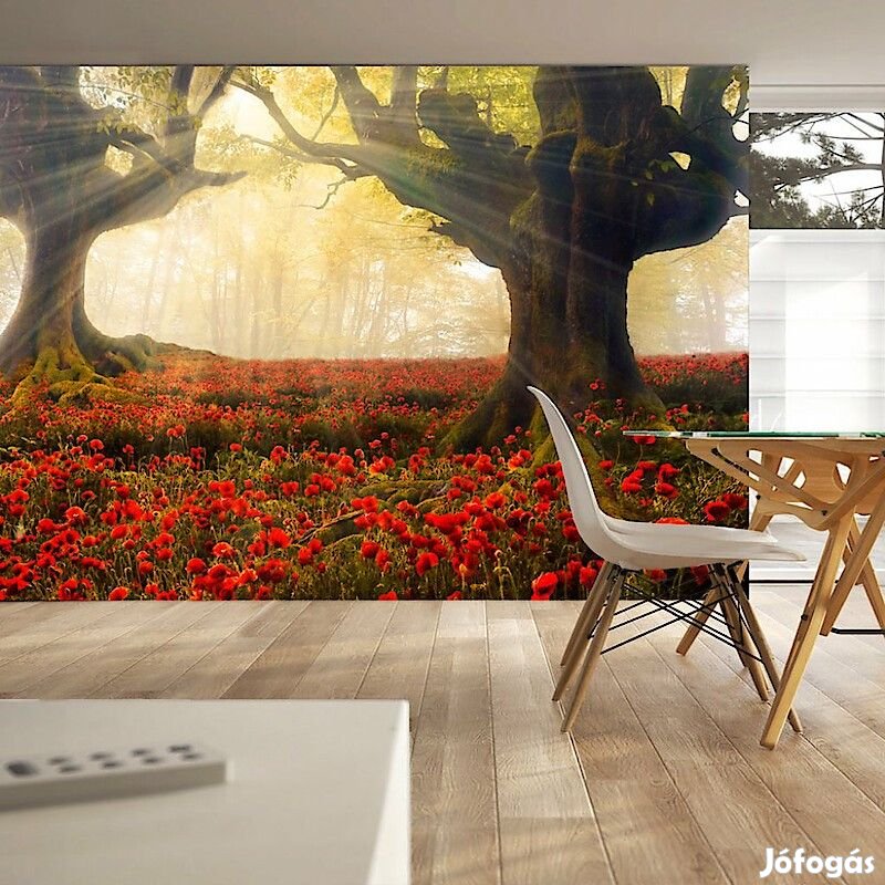 Fotótapéta - Ébredés az erdőben