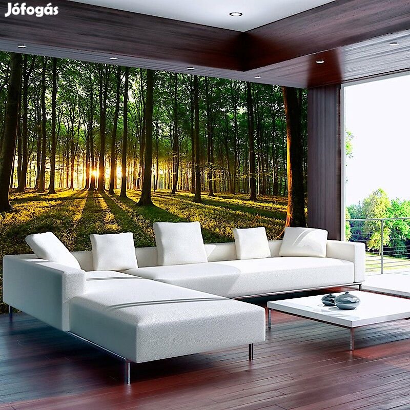 Fotótapéta - Ébredő erdő