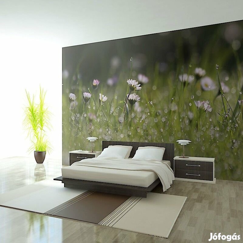 Fotótapéta - Ébresztő