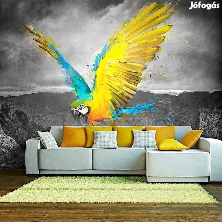 Fotótapéta - Egzotikus papagáj 2