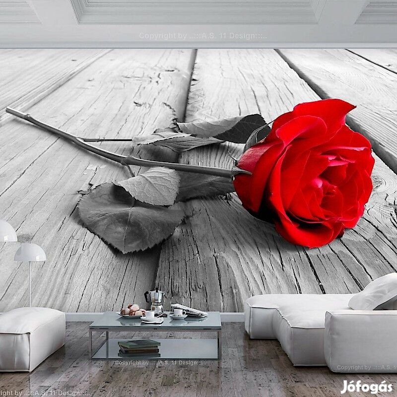 Fotótapéta - Eldobott rózsa