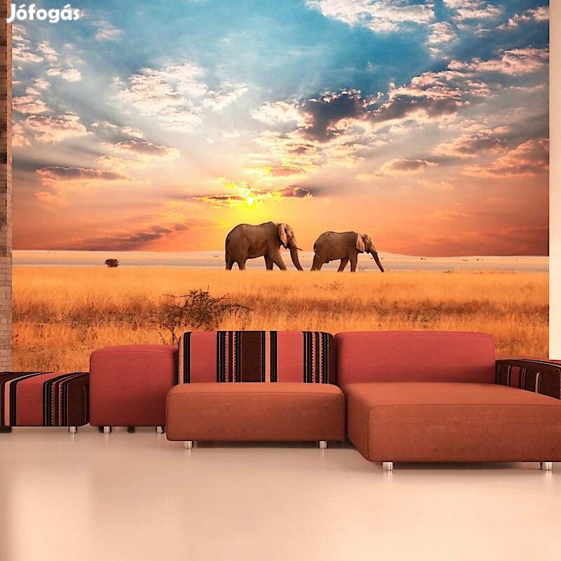 Fotótapéta - Elefánt séta