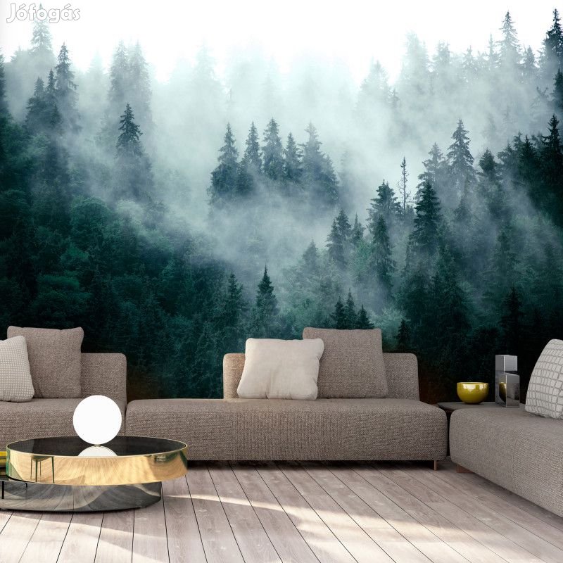 Fotótapéta - Előbújó erdő 3