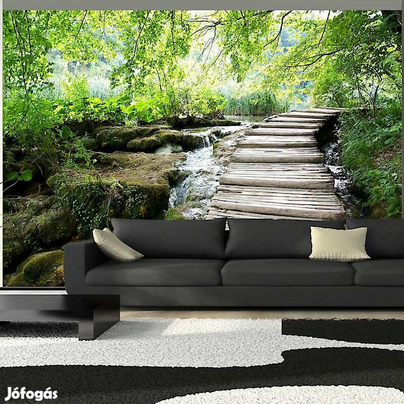 Fotótapéta - Erdei hidakon