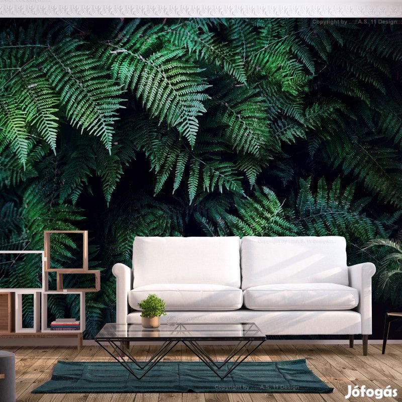 Fotótapéta - Erdei mélység