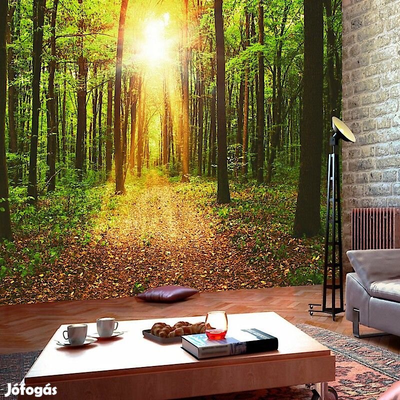 Fotótapéta - Erdei ösvény