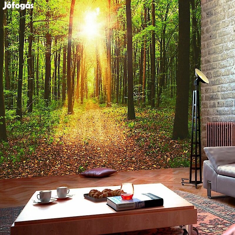 Fotótapéta - Erdei ösvény